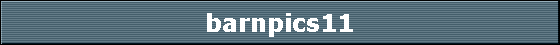 barnpics11